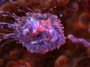 artikel-5-vechten-repareren-300x225 Minder vechten, meer repareren