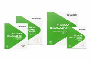 border-300x200 B-WISE