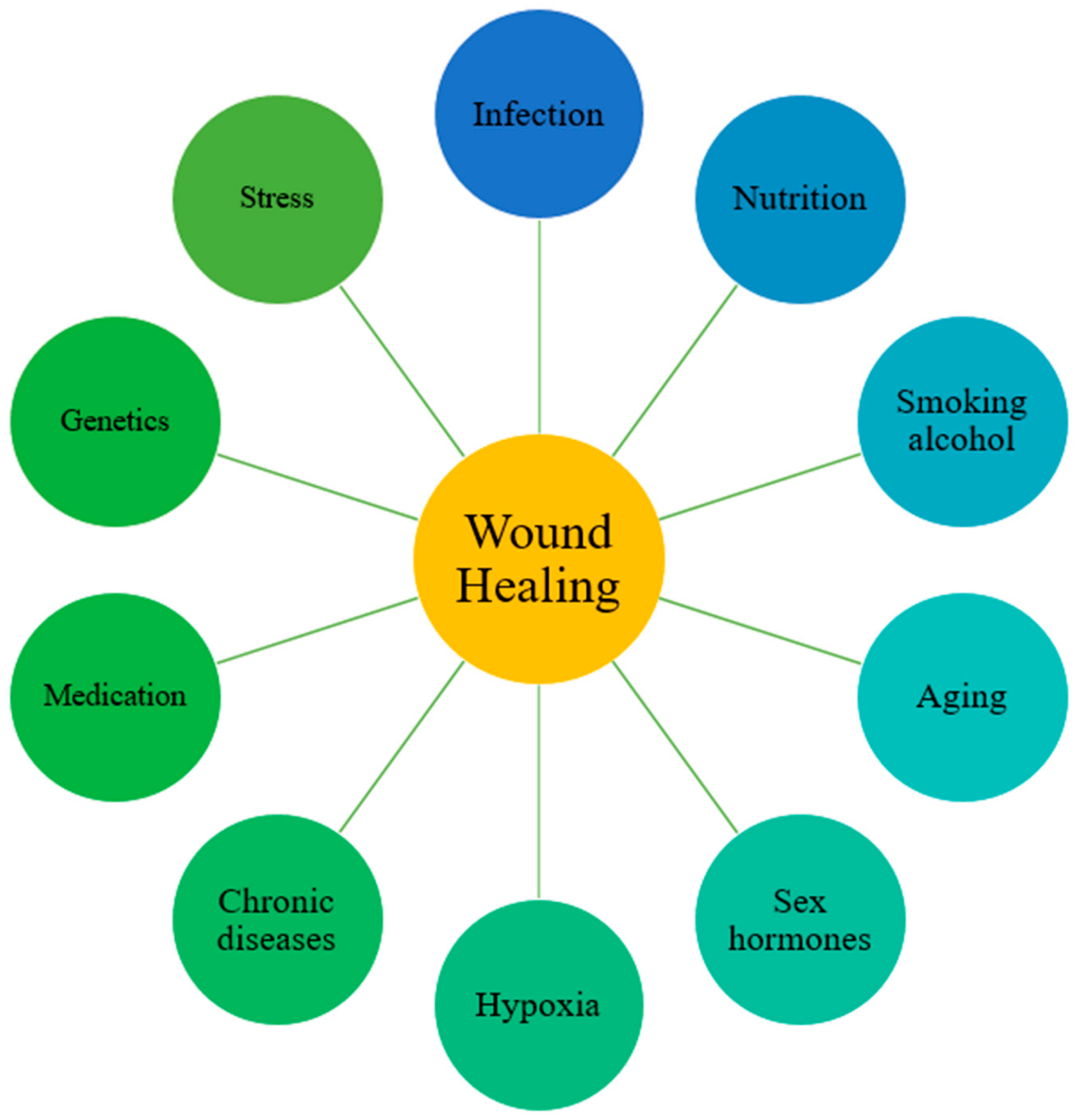 BQ-nieuwsbrief-Q1-2026-artikel-2-scaled Hoe wonden herstellen: Nieuwe inzichten uit een recente review in Cells