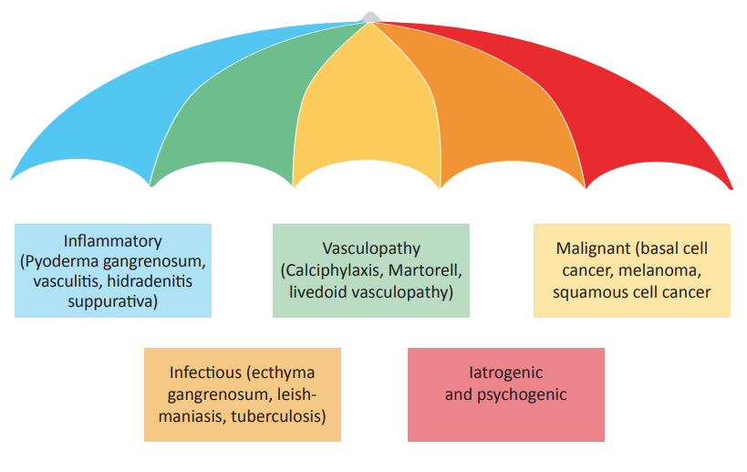 Schermafbeelding-2026-02-26-155203 Wanneer is een wond echt geïnfecteerd?